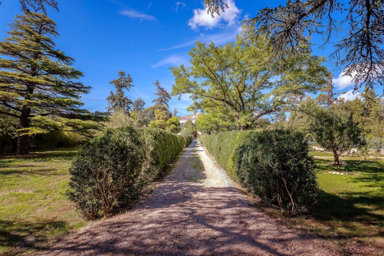 B&B en Provence- Villa Saint Marc Forcalquier Extérieur photo